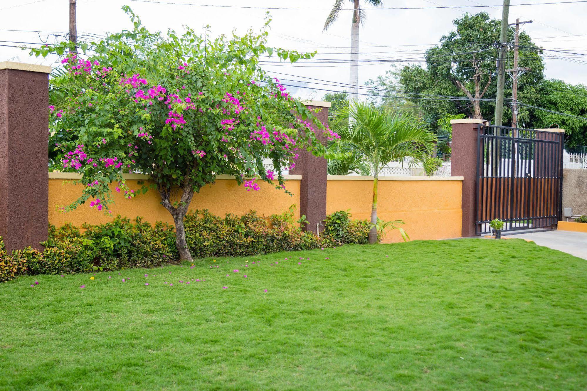 Centrally Located Guest Apartments Kingston Exterior photo